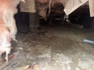 Crawl space with sagging insulation and bare dirt floor before work began